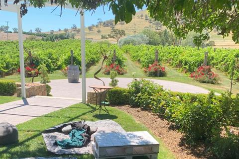 Canberra Winery Tour | Découverte  Tour Du Vin | Private dicovery (4-5 hours) including Lunch