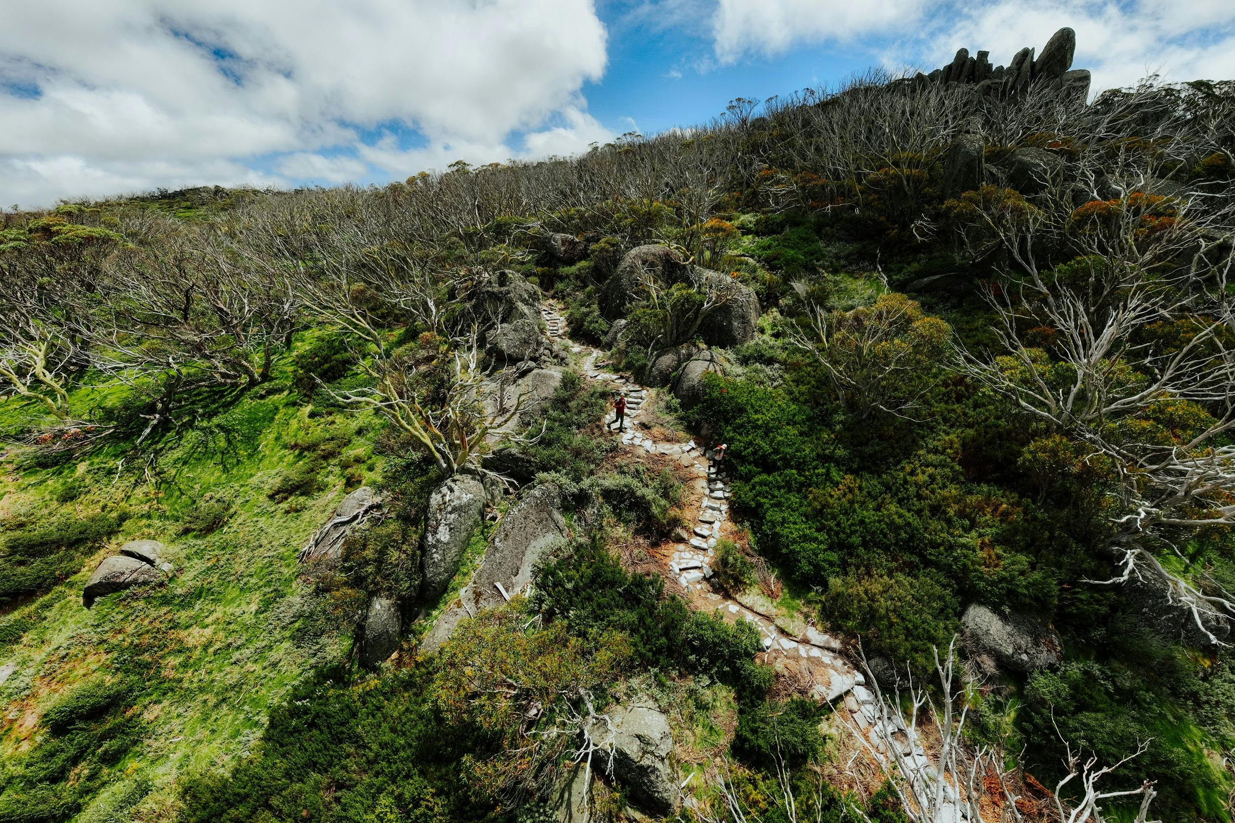 Perisher Valley to Bullocks Flat walk, a section of the Snowies Alpine Walk