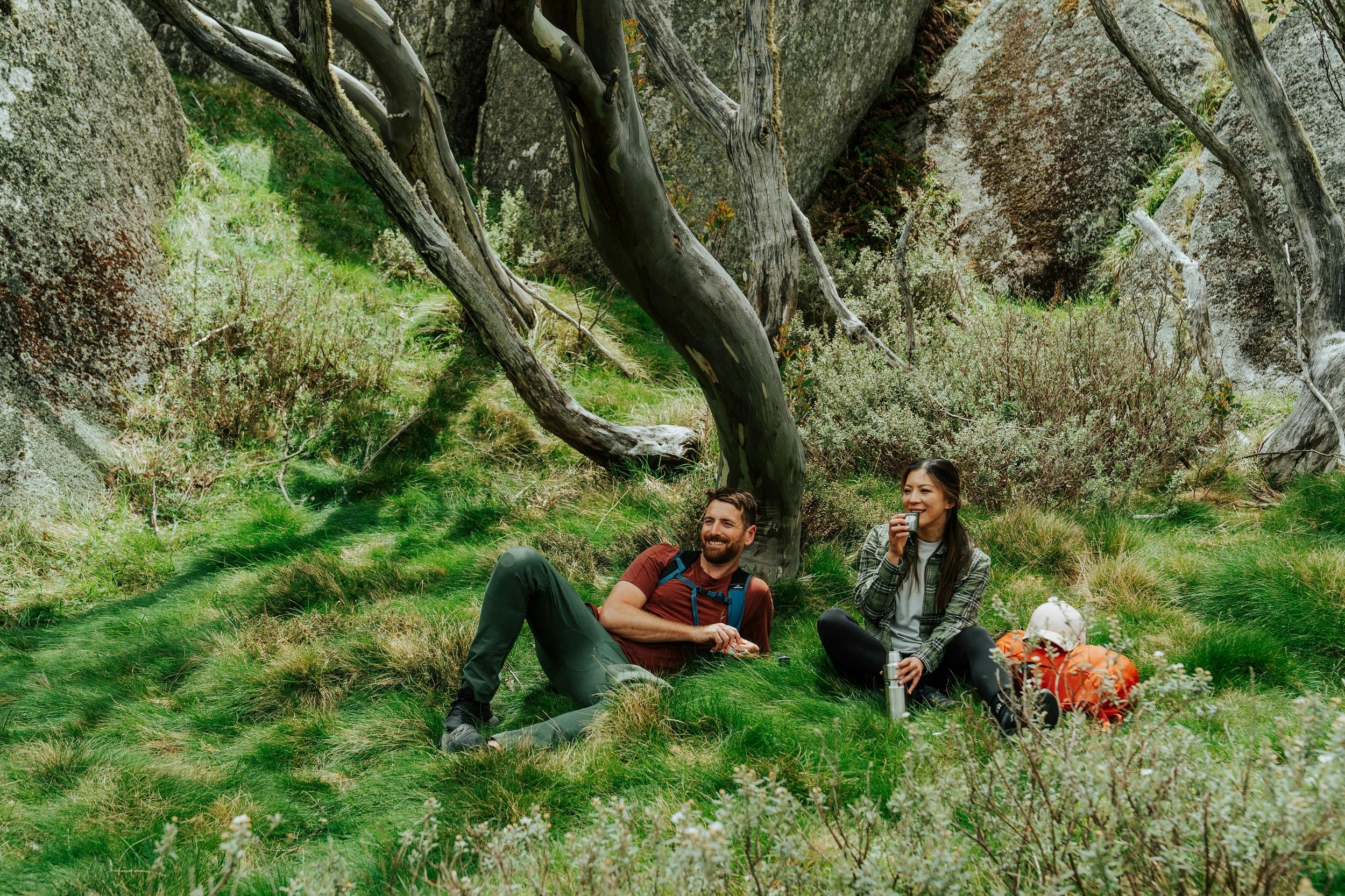 Perisher Valley to Bullocks Flat walk, a section of the Snowies Alpine Walk