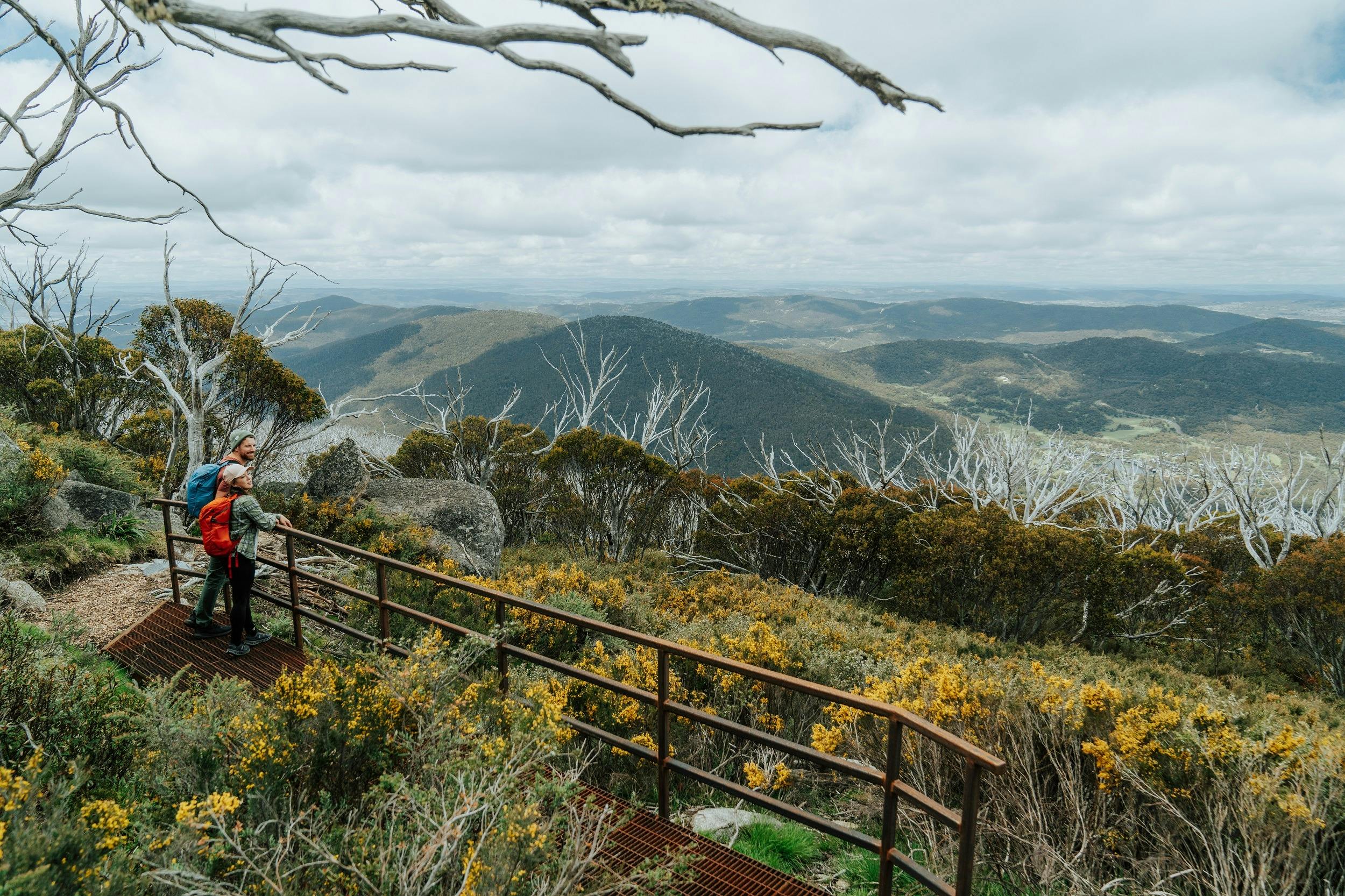 Perisher Valley to Bullocks Flat walk, a section of the Snowies Alpine Walk