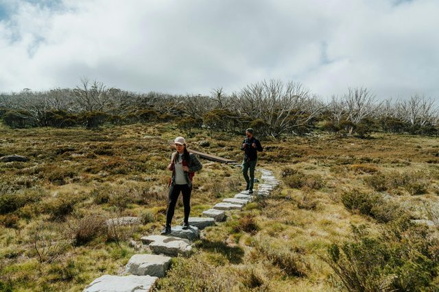 Perisher Valley to Bullocks Flat walk