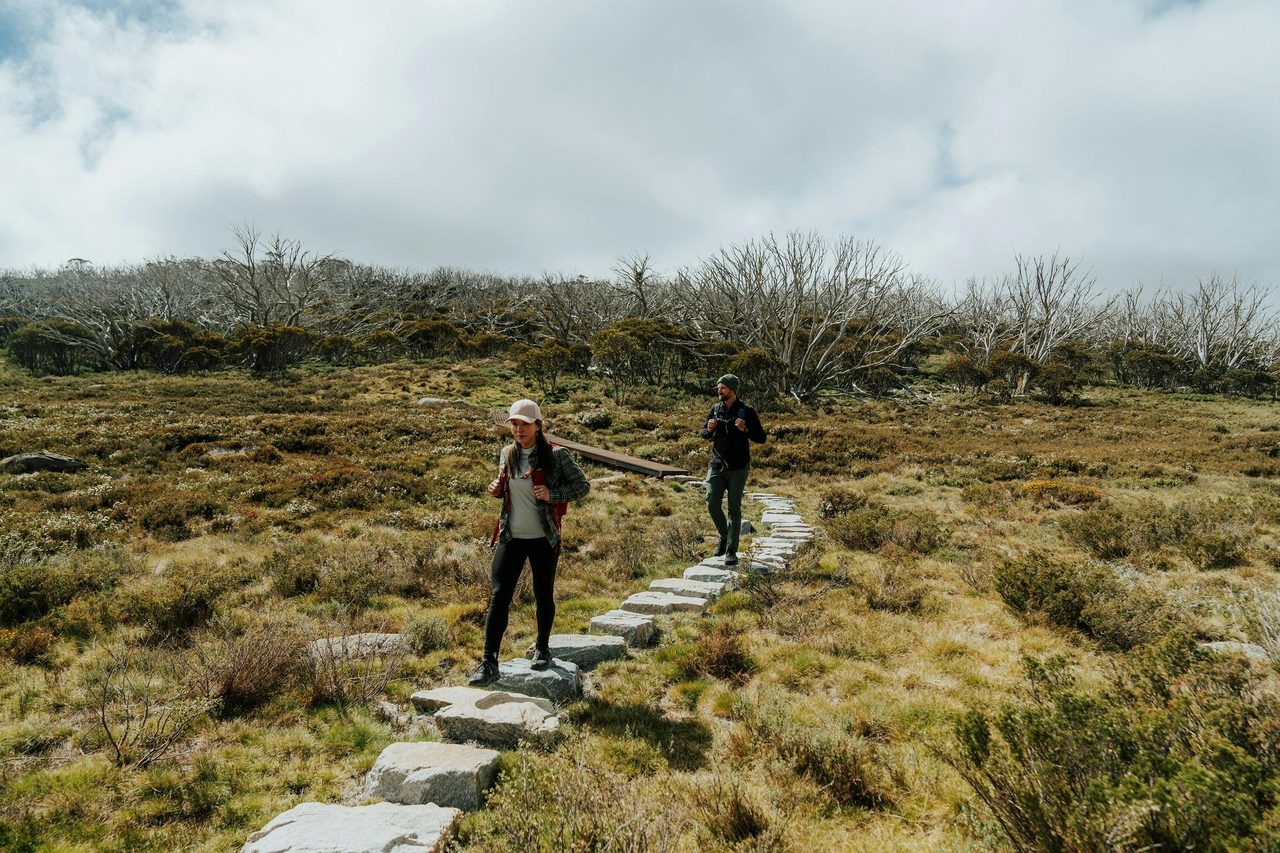 Perisher Valley to Bullocks Flat walk, a section of the Snowies Alpine Walk