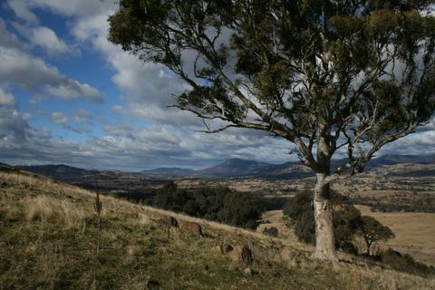 Urambi Hills
