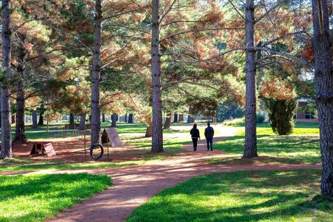 Haig Park