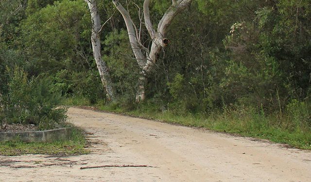 Riverview walking track