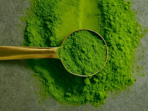Ujin Matcha House