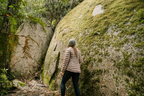 Recharge in nature