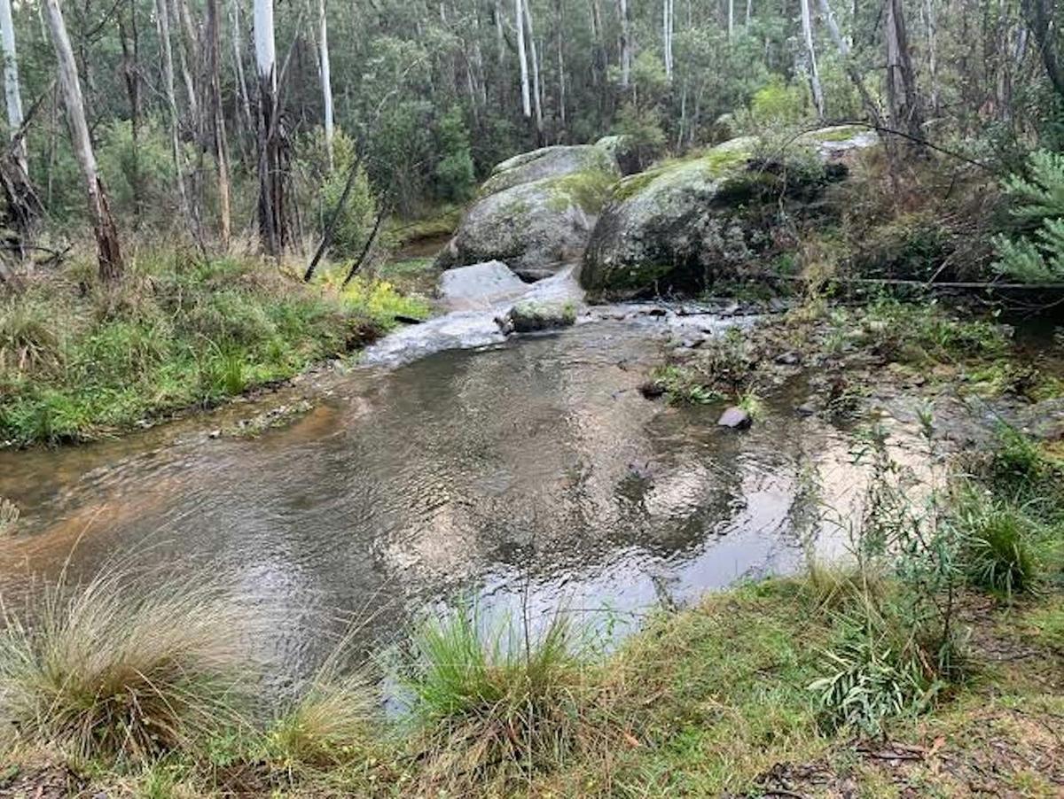 Recharge in nature