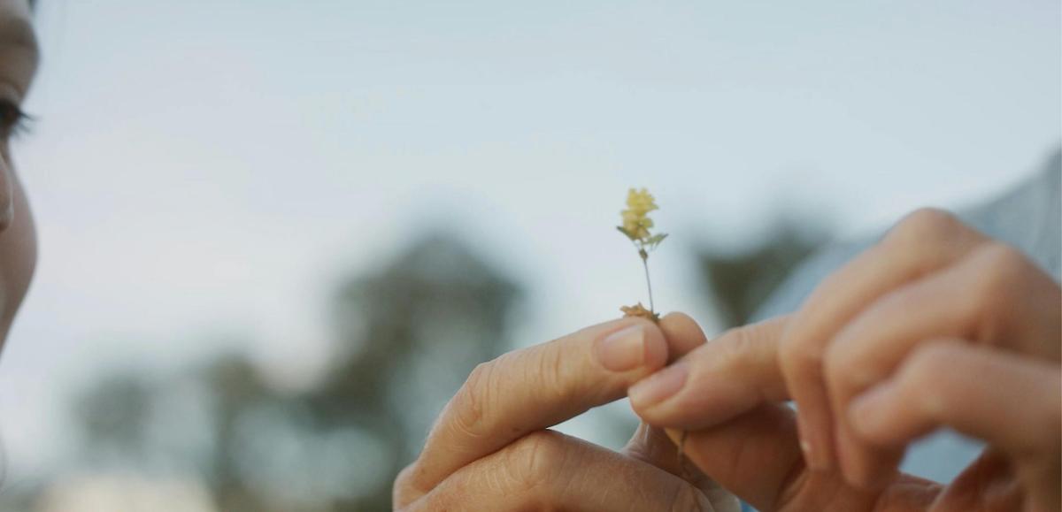 Exploring tiny details in nature