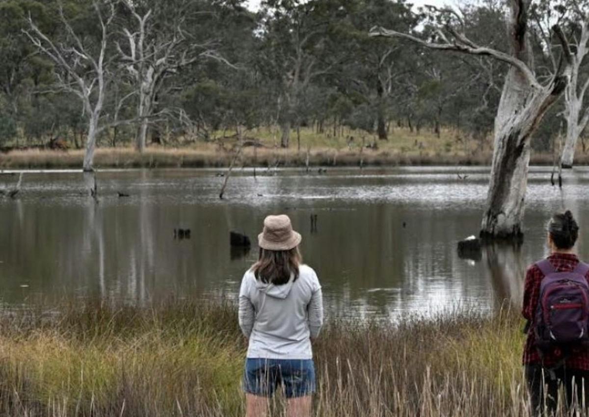 Nature therapy - Mulligans Flat