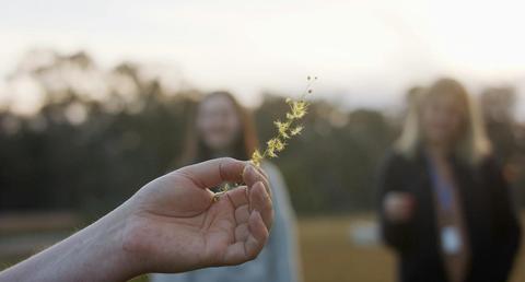 Nature journalling