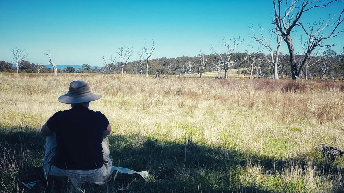 Engaging with nature at Mulligans Flat Woodland Sanctuary