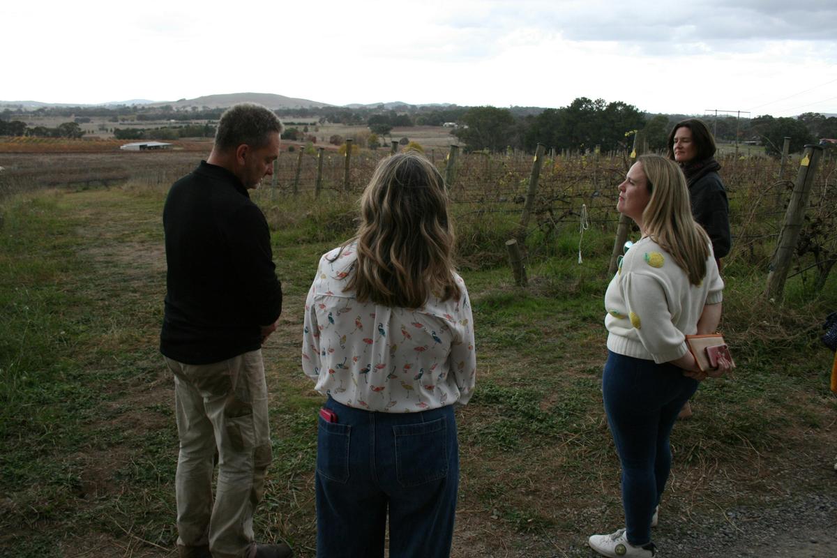 Wanderlust with Wine Tour