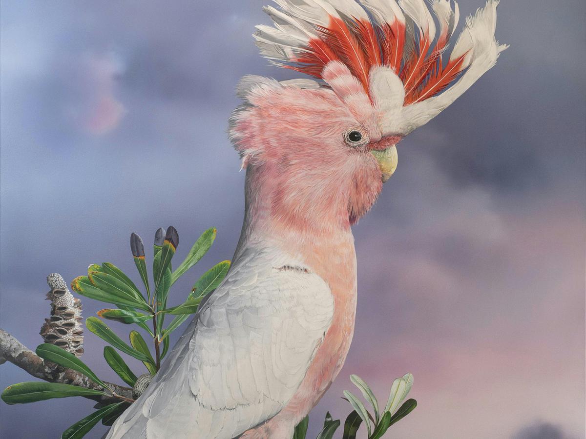 Homage to the Bird group exhibition