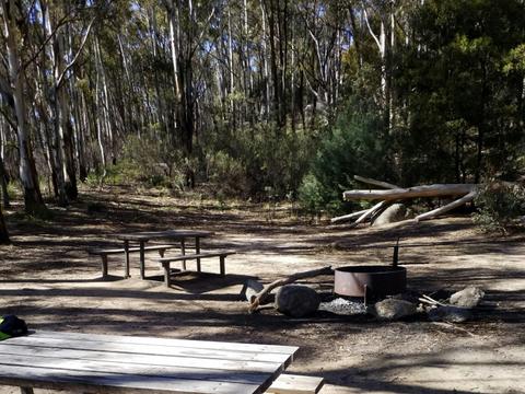 Honeysuckle Campground