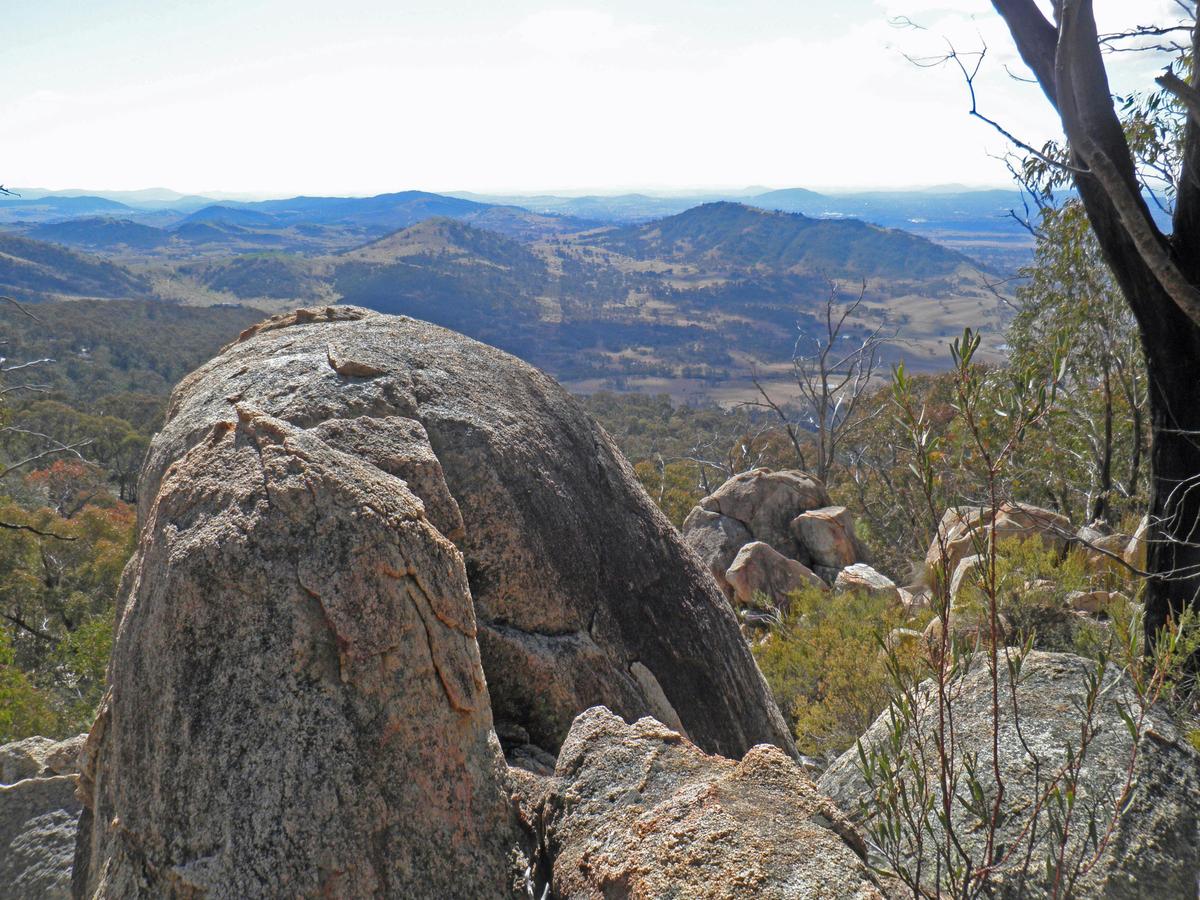 Views from Mt Tennant