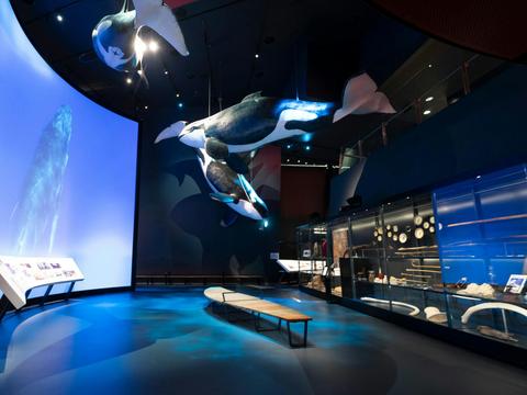 Great Southern Land Gallery