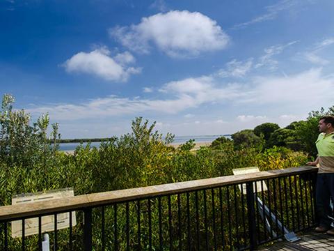 Quibray Bay viewing platform