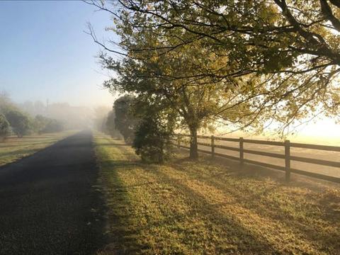 Richmond Lowlands