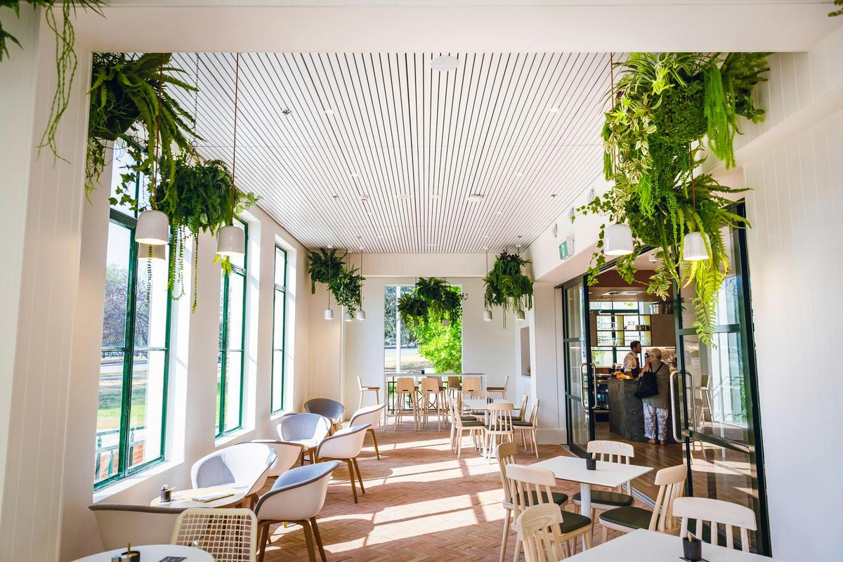 Cafe Constitution