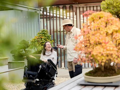National Bonsai & Penjing Collection of Australia
