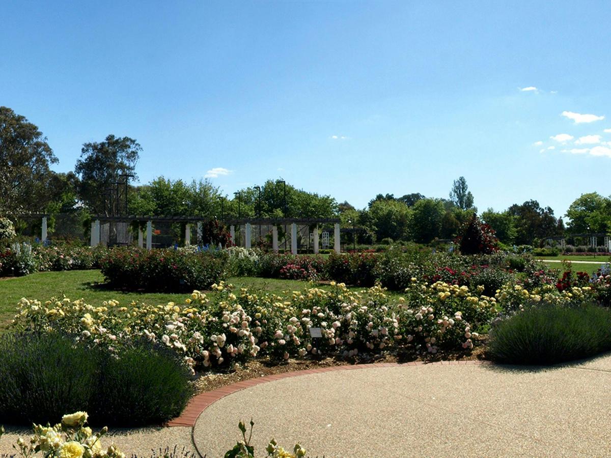 Old Parliament House Gardens Free Guided Group Walk