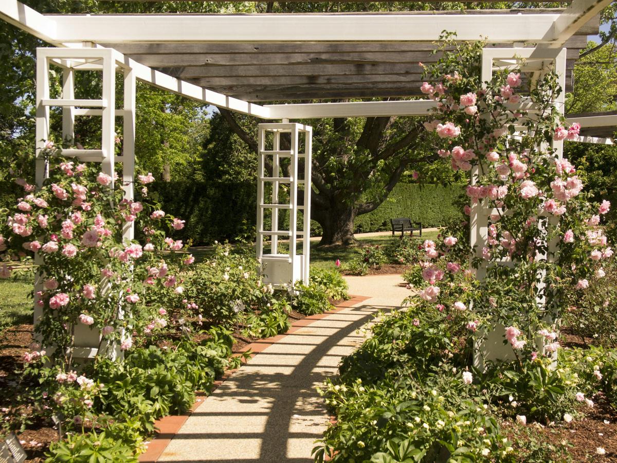 Old Parliament House Gardens Free Guided Group Walk