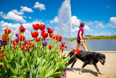 National Capital Authority Guided Group Tours