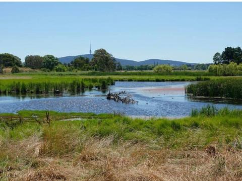Jerrabomberra Wetlands