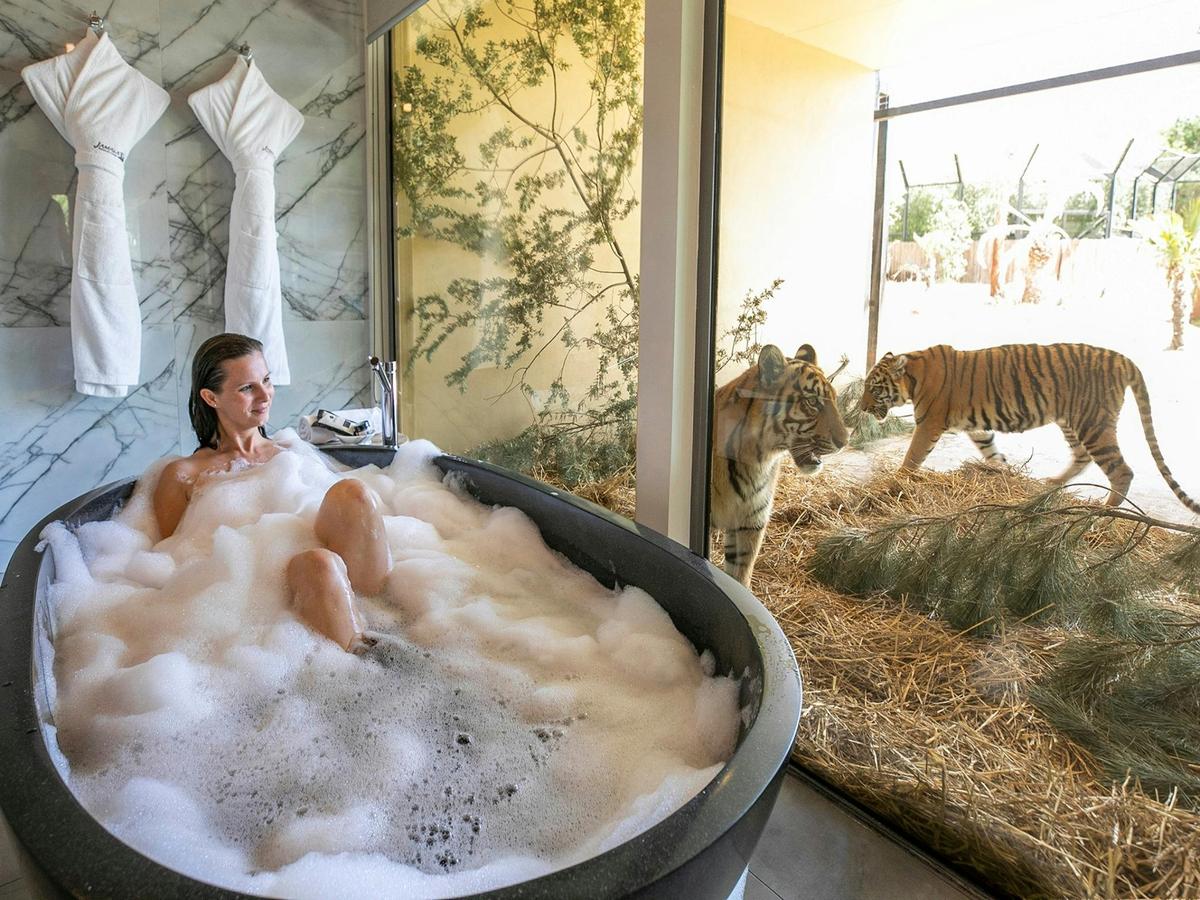 Jamala Wildlife Lodge