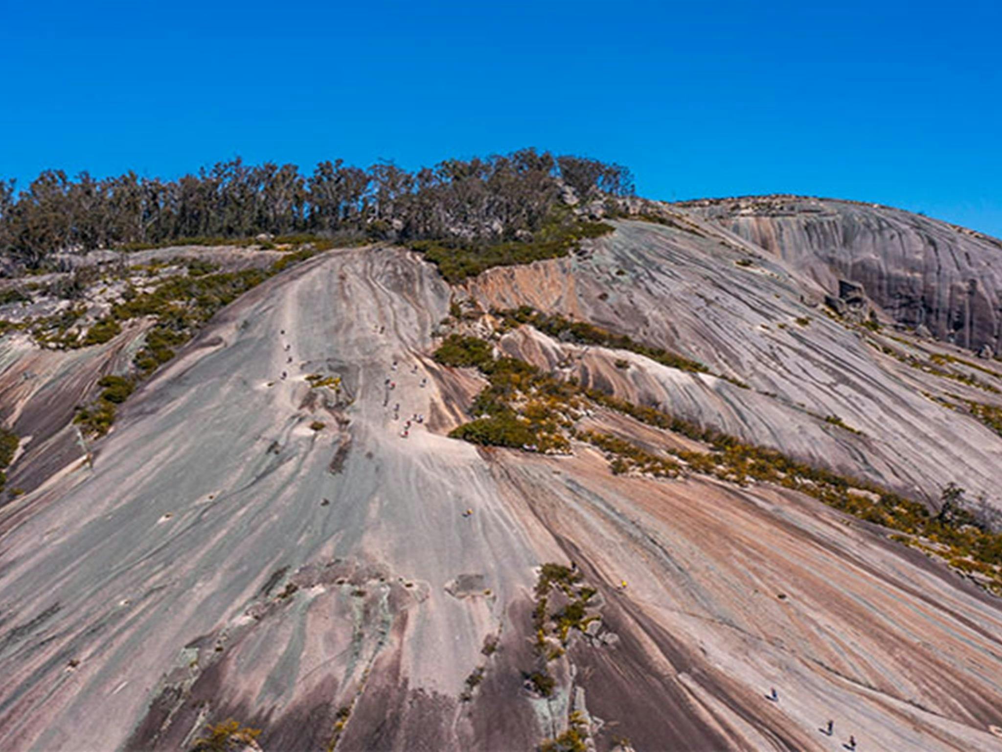 The dome of Bald Rock, Bald Rock National Park. Photo: Joshua J Smith &copy; DPE