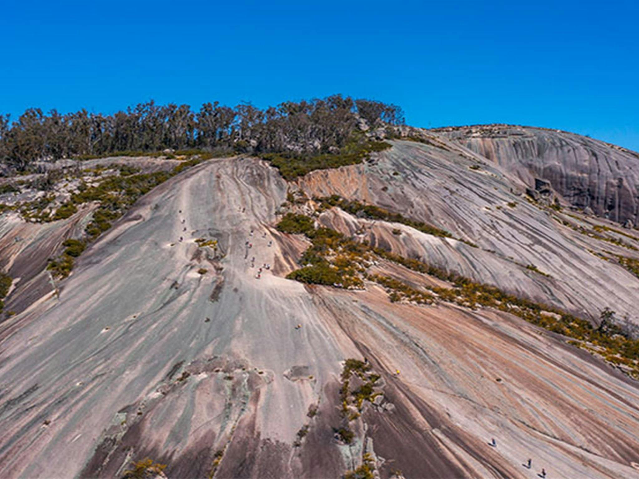 The dome of Bald Rock, Bald Rock National Park. Photo: Joshua J Smith &copy; DPE