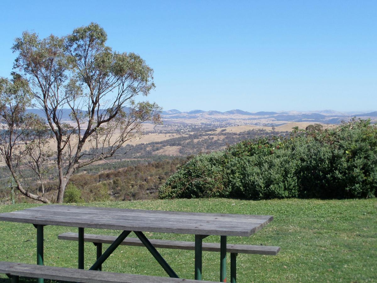 Picnic in peace