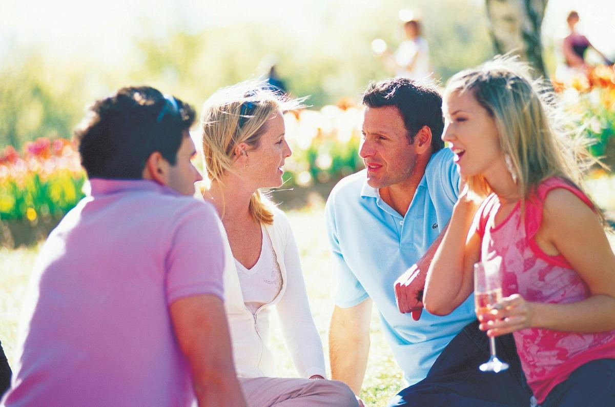 Picnic with friends