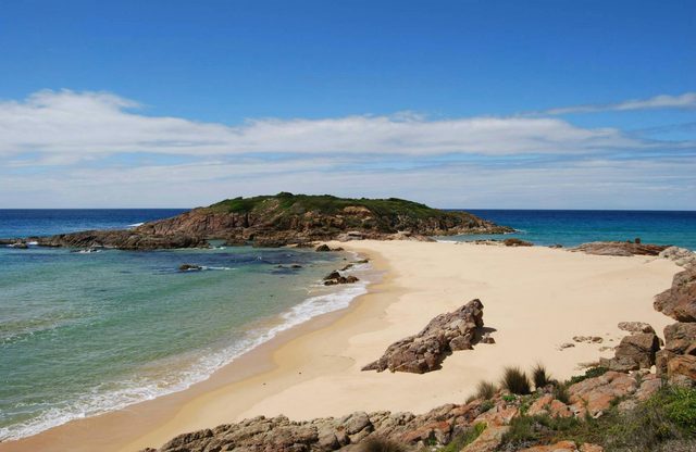 Sandy Creek Loop Track