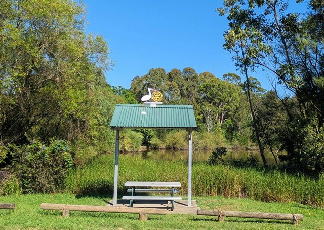 Pelicans of Paterson