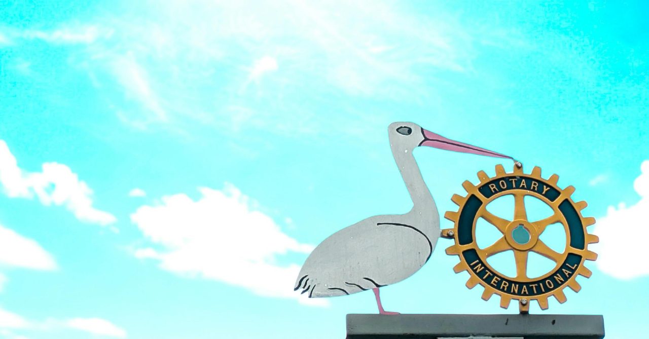 Pelicans of Paterson Sculpture by Bill 'Wallaby' Cummins