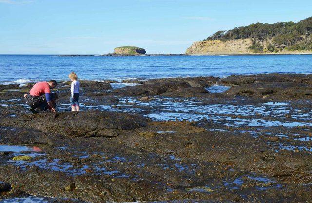 Rock Platform Walk - Depot Beach