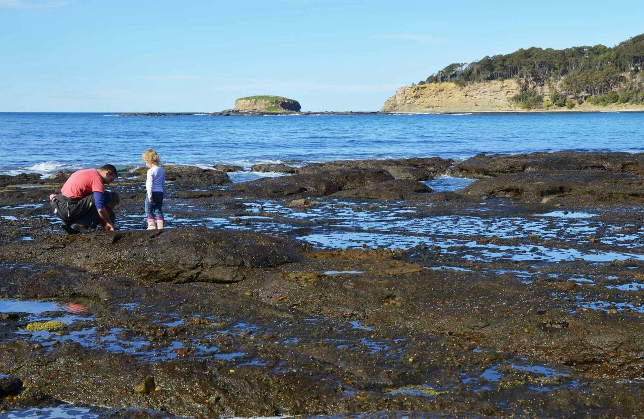 Rock Platform, Depot Beach, Murramurang National Park. Photo: OEH