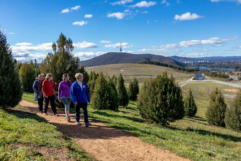Guided Forest Walks