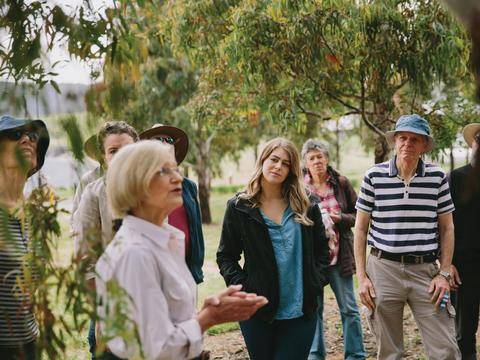 National Arboretum Canberra  Guided Forest Walks