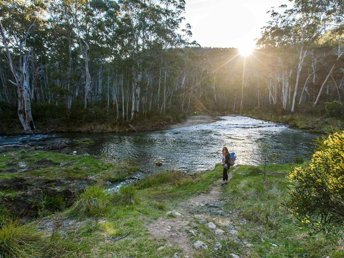 The Wild Alpine Summits and Coastal Trails of the Southeast