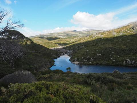 The Wild Alpine Summits and Coastal Trails of the Southeast