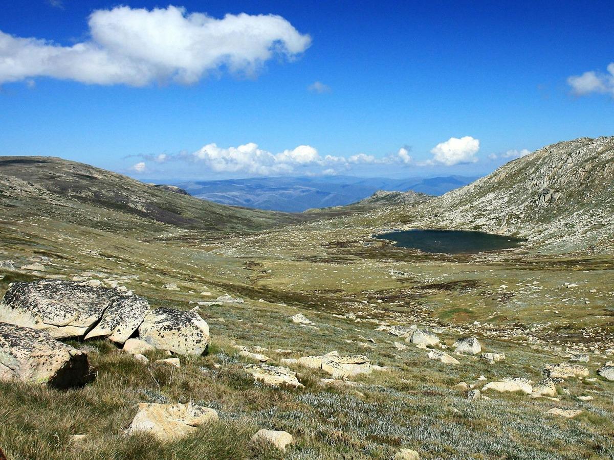 The Wild Alpine Summits and Coastal Trails of the Southeast