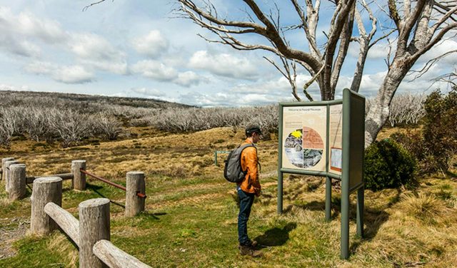 Round Mountain Hut walking track