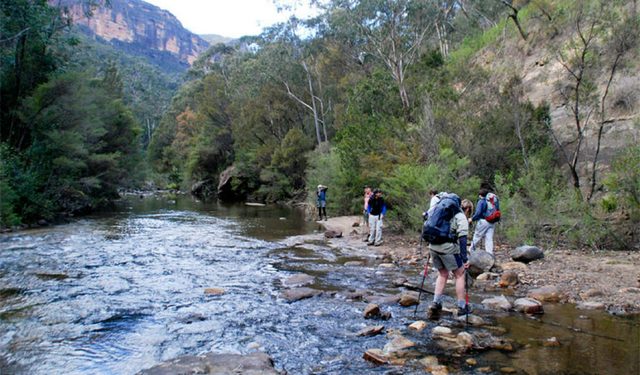 Pierces Pass to Blue Gum Forest Walking Track