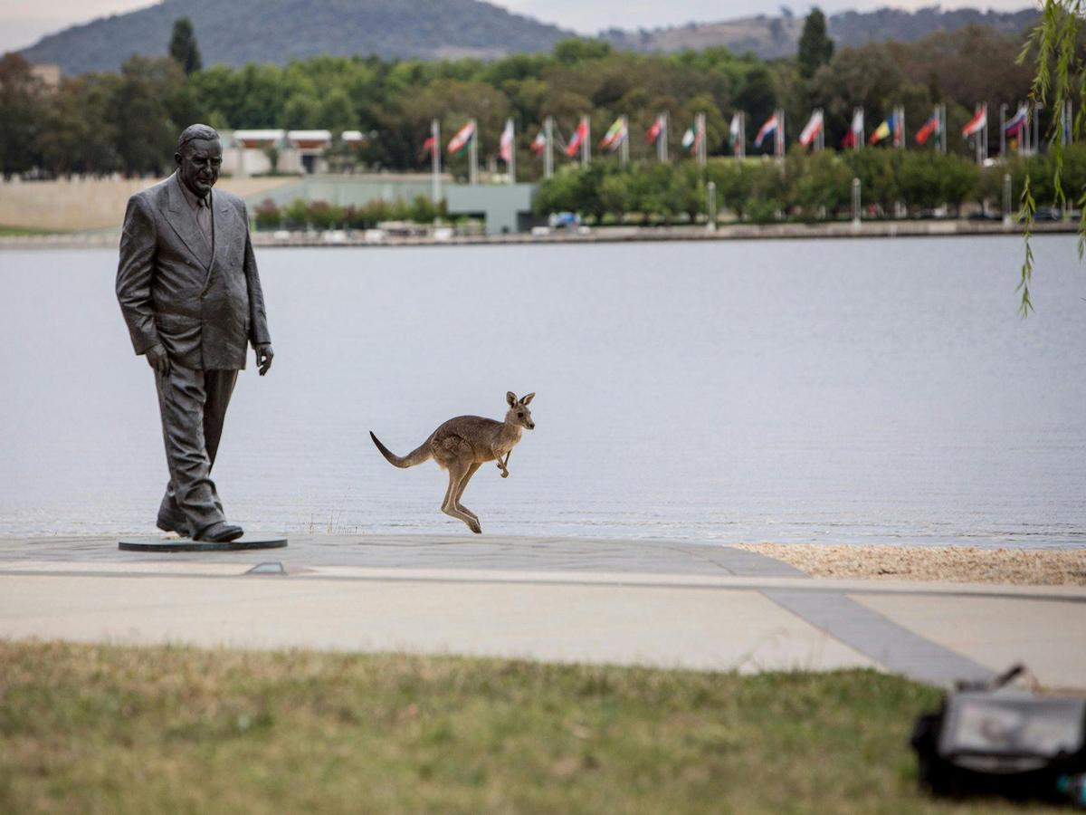 Run, walk, cycle or hop the R G Menzies walk