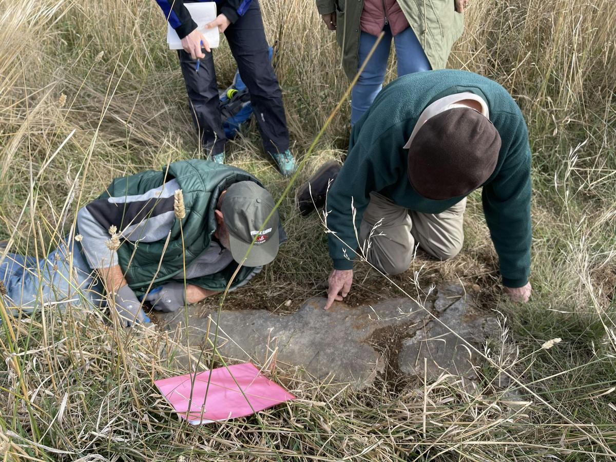 Local retired palaeontologists Dr Des Strusz and Dr Bob Nicoll examine ancient fossils that show Can