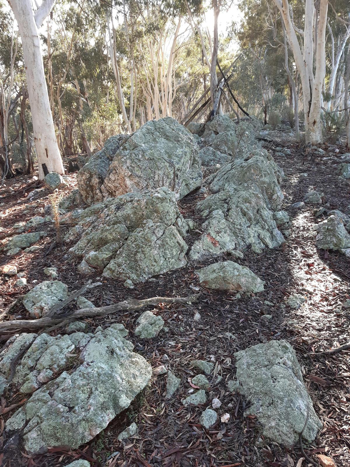 Prominent quartz reef outcropping along the Gungahlin Fault