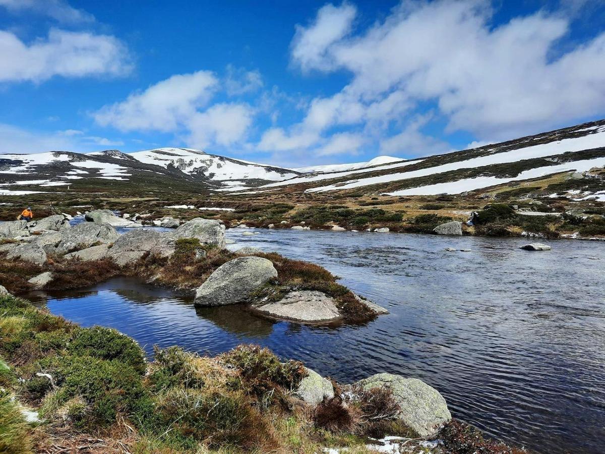 Snowy Mountains